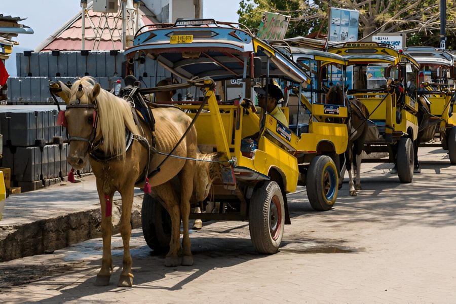 Paket Tour Lombok 2 Hari 1 Malam