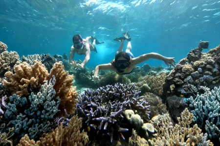 Menjelajahi Keindahan wisata lombok yang Memukau Hati