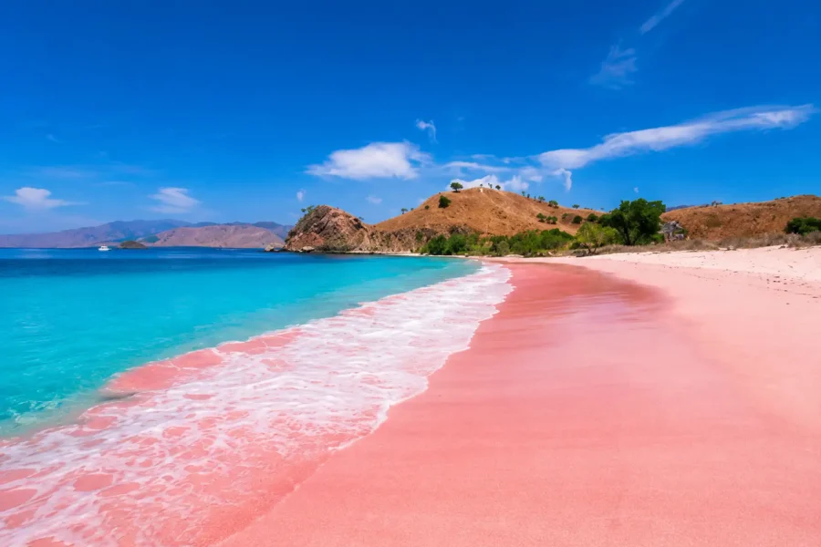 Pink Beach Lombok – Snorkeling & Island Hopping